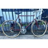 Raleigh Routier Road Bike